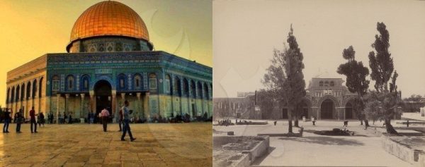 أعيدوا لنا الهويَّة.. فلسطين العربية قبل ظهور آل صهيون / صور - 20 - سيناء الإخبارية أعيدوا لنا الهويَّة.. فلسطين العربية قبل ظهور آل صهيون / صور - 19 - سيناء الإخبارية