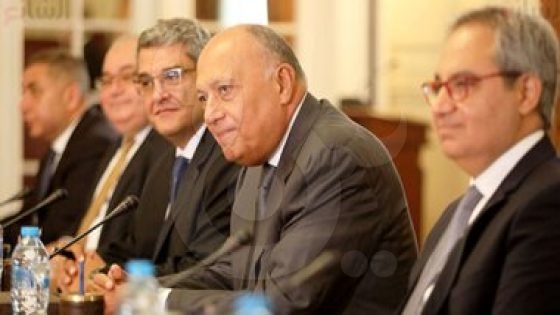 وزير الخارجية: مصر مهتمة باستقرار الملاحة في البحر الأحمر