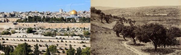 أعيدوا لنا الهويَّة.. فلسطين العربية قبل ظهور آل صهيون / صور - 14 - سيناء الإخبارية أعيدوا لنا الهويَّة.. فلسطين العربية قبل ظهور آل صهيون / صور - 13 - سيناء الإخبارية