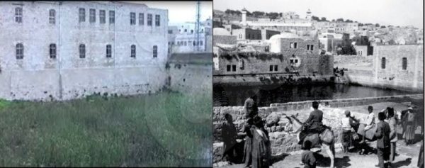 أعيدوا لنا الهويَّة.. فلسطين العربية قبل ظهور آل صهيون / صور - 16 - سيناء الإخبارية أعيدوا لنا الهويَّة.. فلسطين العربية قبل ظهور آل صهيون / صور - 15 - سيناء الإخبارية