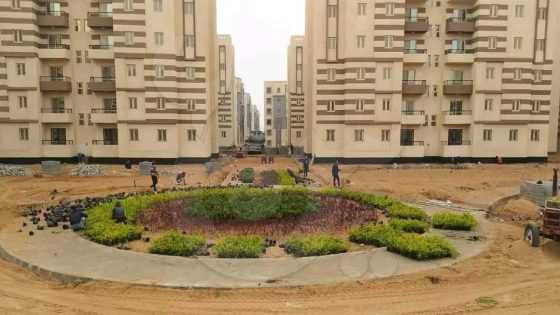 تنفيذ 9 آلاف وحدة سكنية خضراء بمبادرة سكن لكل المصريين بحدائق العاصمة