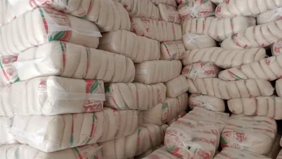 وزارة التموين تبدأ توريد 100 الف طن قصب سكر للمزارعين