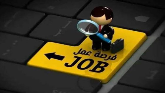 وزارة العمل تعلن عن 470 وظيفة بمرتبات 7500 جنيه