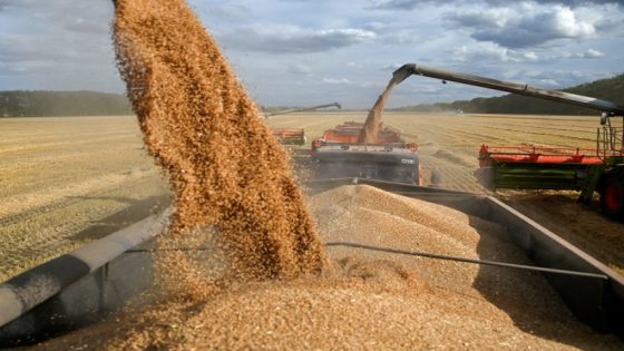 2.854 مليار دولار واردات مصر من القمح فى 9 أشهر