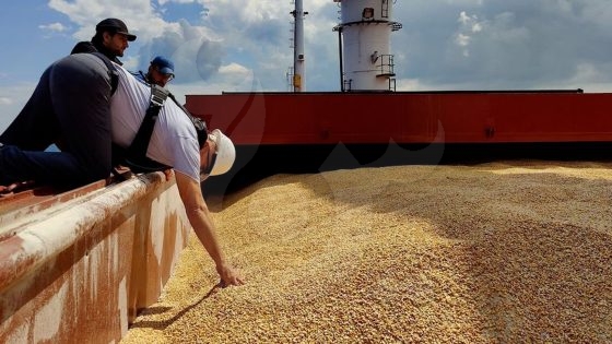 روسيا تحظر تصدير القمح 