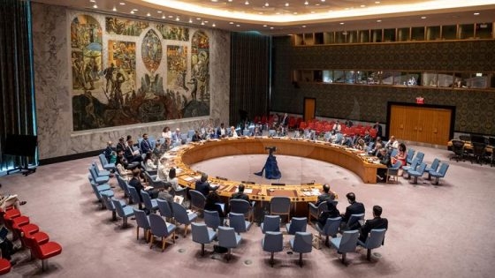 مجلس الأمن ينظر طلب العضوية الدائمة لفلسطين في الأمم المتحدة خلال أسبوعين
