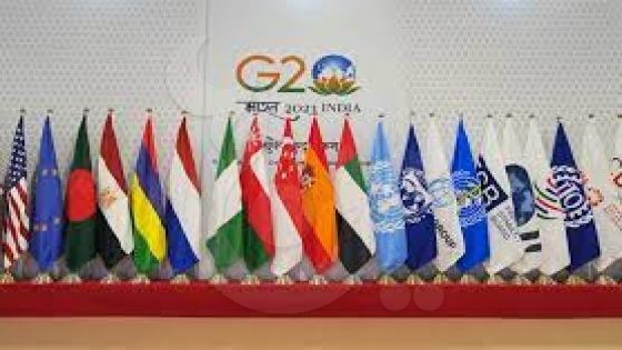 مصر تشارك في اجتماعات مجموعة العشرين بدعوة من البرازيل