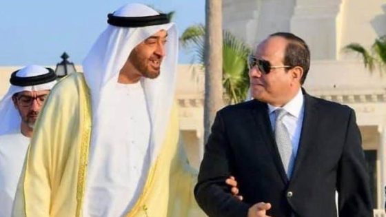 السيسي يلتقي الشيخ محمد بن زايد رئيس الإمارات