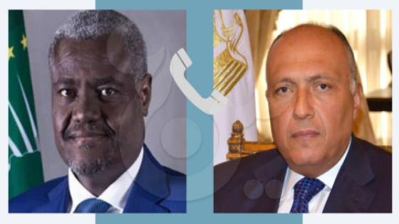 مصر تدعم مفوضية الاتحاد الإفريقي للقيام بمسئولياتها تجاه القارة