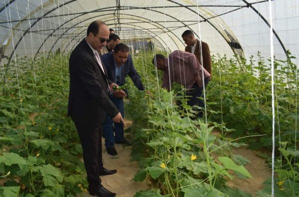 جامعة العريش تطلق عيادة زراعية ذكية لتحسين الإنتاج في شمال سيناء - 1 - سيناء الإخبارية