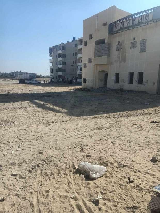 حملة مكبرة لتنظيف شوارع وميادين العريش قبل زراعة الأشجار - 5 - سيناء الإخبارية