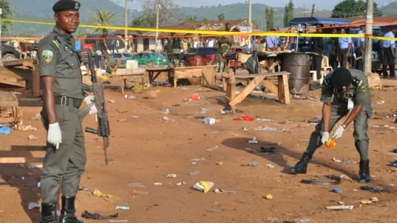 مقتل 30 شخصا في هجمات بنيجريا