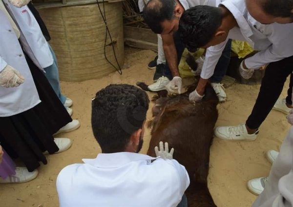 جامعة العريش تطلق عيادة زراعية ذكية لتحسين الإنتاج في شمال سيناء - 3 - سيناء الإخبارية