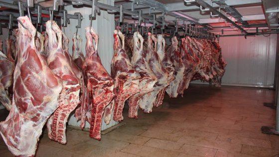 ارتفاع جنوني في أسعار اللحوم