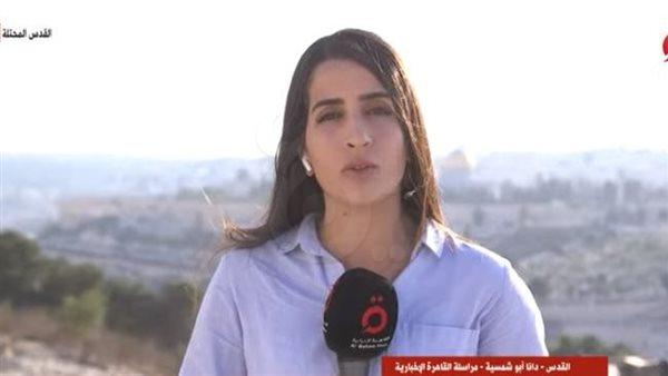 الصحفية دانا أبو شمسية