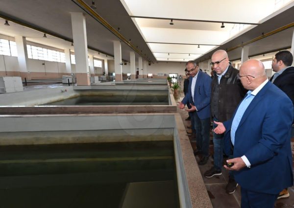 بطاقة 600 ألف متر مكعب.. وزير الإسكان يتابع العمل بمحطة مياه الشرب بالأميرية - 1 - سيناء الإخبارية