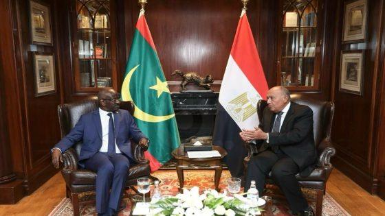 وزير الخارجية يستقبل نظيره الموريتاني