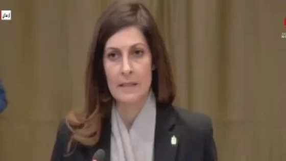 ممثلة مصر أمام العدل الدولية: إسرائيل تمنع دخول المساعدات إلى غزة
