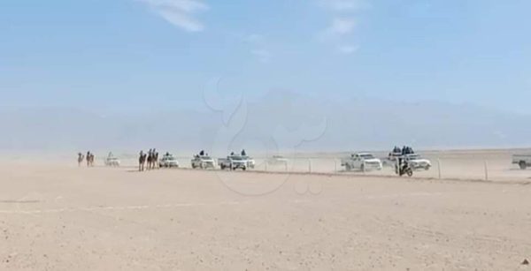 مهرجان الهجن في طور سيناء: احتفال بالتراث ودعم الرياضة المحلية - 9 - سيناء الإخبارية
