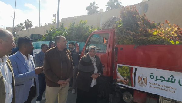 شمال سيناء تتسلم 106 ألف شجرة ضمن المبادرة الرئاسية - 13 - سيناء الإخبارية