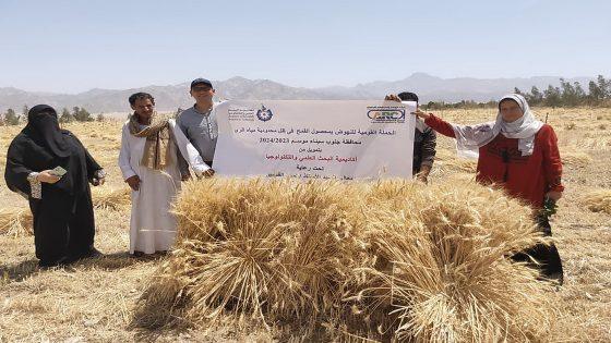 البحوث الزراعية وبحوث الصحراء يضعان خططًا لتعزيز التنمية الزراعية في جنوب سيناء