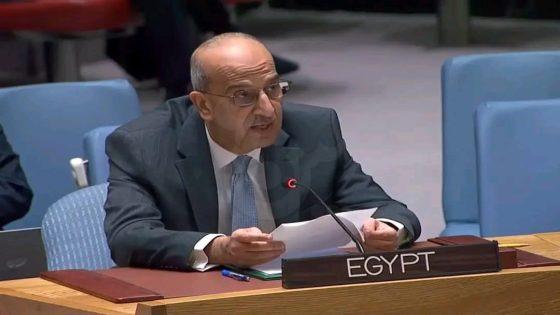 مصر تجدد تمسكها بحل الدولتين في كلمة أمام الأمم المتحدة