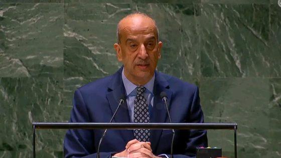 مصر تنتقد استخدام الفيتو الأمريكي المتكرر.. مجلس الأمن بات يخاطر بفقدان أهمية دوره