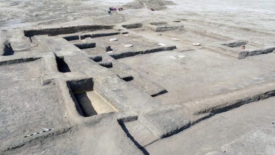 وزارة الأثار: اكتشاف قصر ملكي محصن في تل حبوة بشمال سيناء يعود لعصر الدولة الحديثة