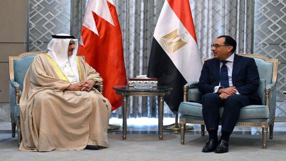 مصر تؤكد دعمها الكامل لجهود استضافة البحرين للقمة العربية.. وفلسطين قضيتنا الكبرى