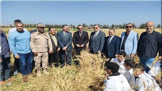 محافظ شمال سينا يشهد موسم حصاد القمح والشعير في مزرعة مدرسة الشهيد محمد أيمن بكير الثانوية الزراعية 