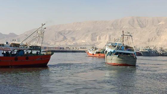 جنوب سيناء.. منع الصيد في خليجي العقبة والسويس لمدة 3 أشهر