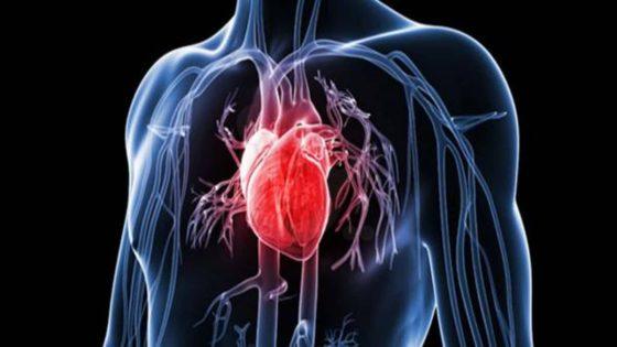 خطر الإصابة بأمراض القلب والأوعية الدموية