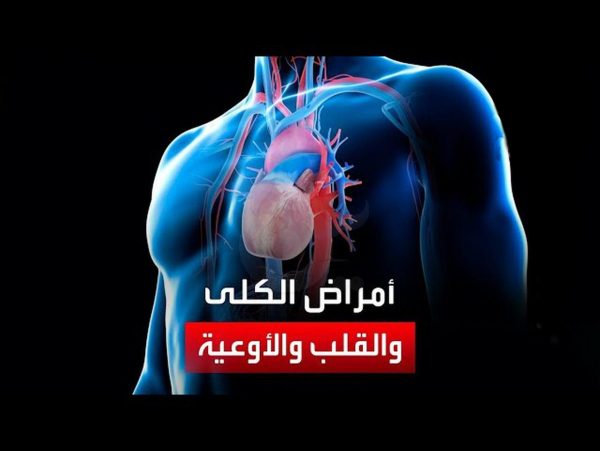 أمراض القلب والكلى تهدد أفريقيا: مصر تُطلق حملة "قلبك أمانة" وتُشارك في برنامج "Healthy Heart Africa" - 4 - سيناء الإخبارية أمراض القلب والكلى تهدد أفريقيا: مصر تُطلق حملة "قلبك أمانة" وتُشارك في برنامج "Healthy Heart Africa" - 3 - سيناء الإخبارية