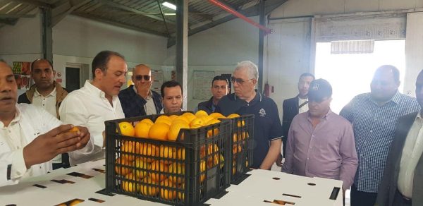 وزير الزراعة في زيارة محطة ومزارع تصدير في النوبارية: الدولة تدعم منظومة الصادرات والقطاع الخاص - 7 - سيناء الإخبارية