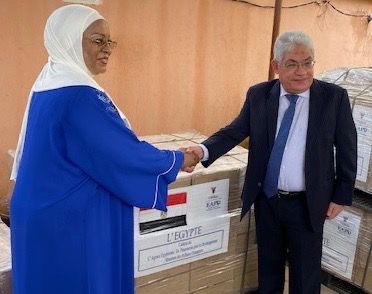 مصر ترسل شحنة مساعدات غذائية لمؤسسة توماني توري للطفولة - 1 - سيناء الإخبارية