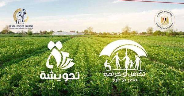 التضامن تؤكد عدم استبعاد مستفيدي "تكافل وكرامة" بعد اشتراكهم في برنامج " تحويشة " - 1 - سيناء الإخبارية