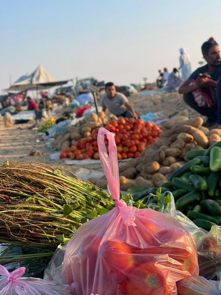 محافظ شمال سيناء يتابع تشغيل سوق الإثنين بقرية الجورة بعد توقف عدة سنوات - 1 - سيناء الإخبارية