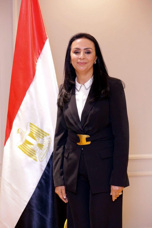 التضامن تُشكل لجنة لربط أنظمتها مع التأمينات وتبحث شمول "تكافل وكرامة" بالتأمين الصحي - 3 - سيناء الإخبارية