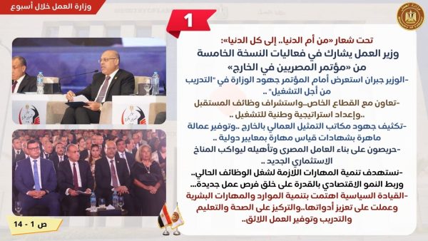 تدريب الموظفين وجولة بمحافظة الغربية.. تعرف على نشاط وزارة العمل في 7 أيام - 1 - سيناء الإخبارية