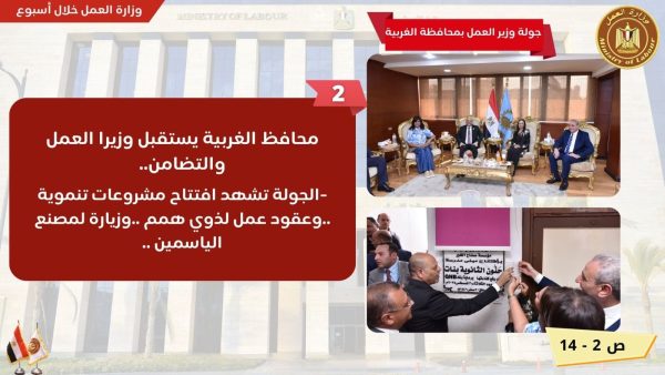 تدريب الموظفين وجولة بمحافظة الغربية.. تعرف على نشاط وزارة العمل في 7 أيام - 3 - سيناء الإخبارية
