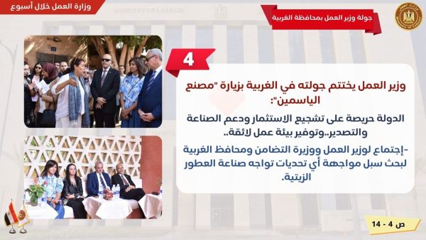 تدريب الموظفين وجولة بمحافظة الغربية.. تعرف على نشاط وزارة العمل في 7 أيام - 7 - سيناء الإخبارية