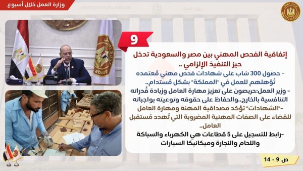 تدريب الموظفين وجولة بمحافظة الغربية.. تعرف على نشاط وزارة العمل في 7 أيام - 17 - سيناء الإخبارية