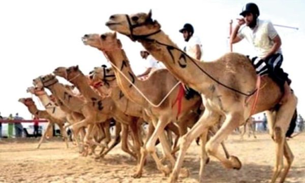 تعرف على 10 أسباب تجعل محافظة جنوب سيناء مقصد سياحي بالعالم - 3 - سيناء الإخبارية