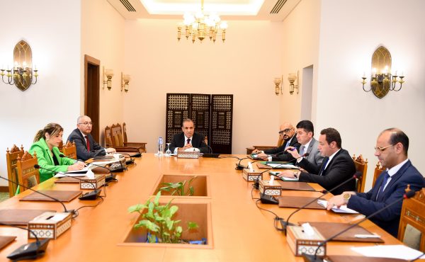 عبد العاطي يؤكد على الارتقاء بجودة وسرعة الخدمات القنصلية المقدمة للجاليات المصرية في الخارج - 1 - سيناء الإخبارية