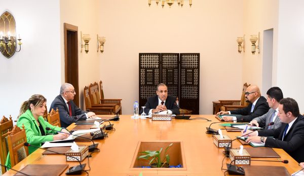 عبد العاطي يؤكد على الارتقاء بجودة وسرعة الخدمات القنصلية المقدمة للجاليات المصرية في الخارج - 5 - سيناء الإخبارية
