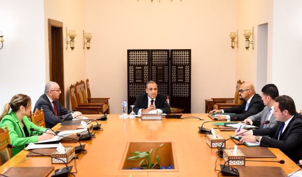 عبد العاطي يؤكد على الارتقاء بجودة وسرعة الخدمات القنصلية المقدمة للجاليات المصرية في الخارج - 11 - سيناء الإخبارية