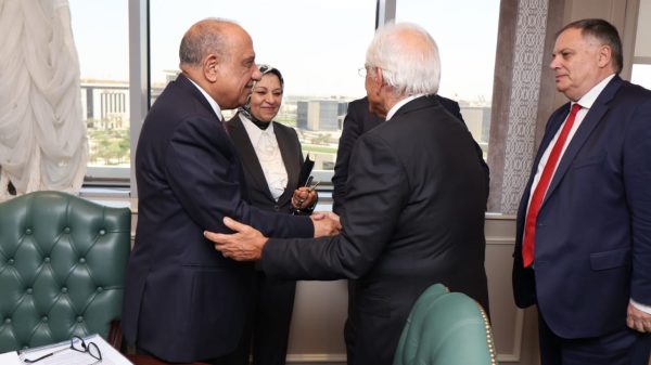 محمود عصمت : مشروع الربط الكهربائي بين مصر واليونان يعمل على تحقيق التنمية المستدامة - 7 - سيناء الإخبارية