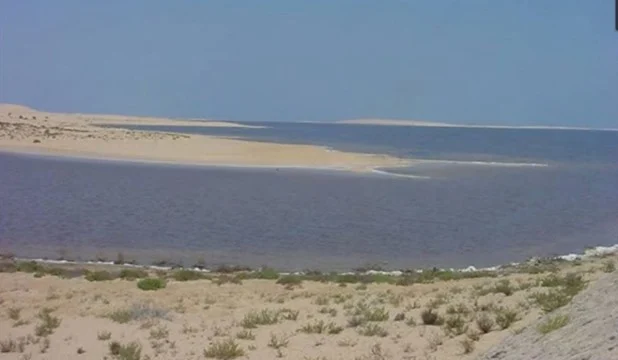 محمية الزرانيق على ساحل شمال سيناء..محطة رئيسية لهجرة الطيور - 7 - سيناء الإخبارية