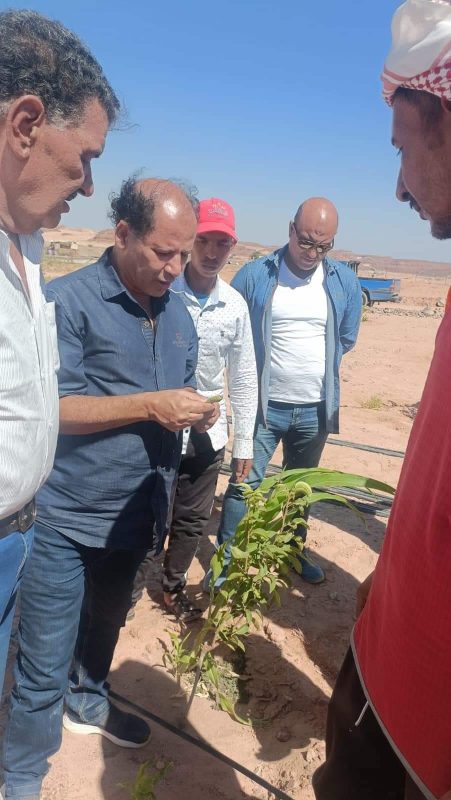 مركز بحوث الصحراء يختتم تفقد الزراعات بالتجمع الزراعي بسانت كاترين - 1 - سيناء الإخبارية