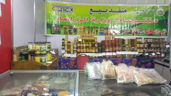 غلق منافذ وزارة الزراعة للسلع المخفضة بالدقي يثير جدلاً واسعًا بين المواطنين - 1 - سيناء الإخبارية